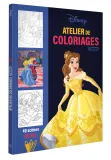 Hachette раскраска по номерам DISNEY TEENS - Atelier de coloriages - Scènes de Bal — фото 1