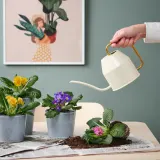IKEA PRIMULA (ИКЕА ПРИМУЛА) - Горшечное растение, примула разных цветов, 11 см — фото 3