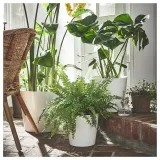 IKEA SOJABÖNA (ИКЕА СОЙАБОНА) — Кашпо, белая, 32 см — фото 2