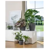 IKEA PERSILLADE (ИКЕА ПЕРСИЛЛАДЕ) — Кашпо, темно-серая, 12 см — фото 3