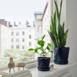 IKEA KLOTLÖNN (ИКЕА КЛОТЛОНН) — Цветочный горшок с блюдцем, закрытый/открытый/черный, 12 см — фото 2