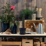 IKEA KLOTLÖNN (ИКЕА КЛОТЛОНН) — Цветочный горшок с блюдцем, закрытый/открытый/черный, 12 см — фото 3