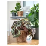 IKEA FRIDFULL (ИКЕА ФРИДФУЛЛ) — Кашпо, Водяной гиацинт, 24 см — фото 5