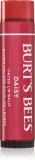Burt’s Bees Tinted Lip Balm - Бальзам для губ, оттенок Daisy — фото 1