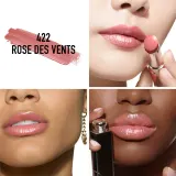 DIOR Dior Addict - Блестящая помада в флаконе для губ, который можно перезаправить, 3.2 г, оттенок 422 Rose des Vents — фото 2