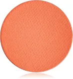 MAC Cosmetics Eye Shadow Pro Palette Refill Pan - Тушь для ресниц - наполнитель, оттенок Red Brick — фото 1