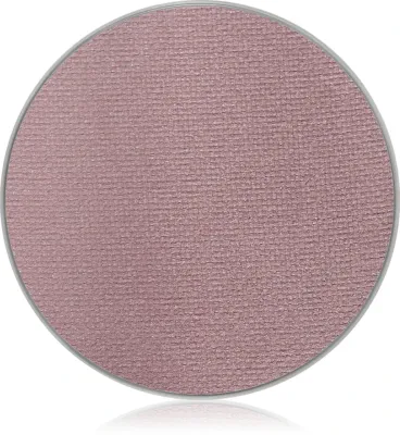 MAC Cosmetics Eye Shadow Pro Palette Refill Pan - Тушь для ресниц - наполнитель, оттенок Shale