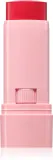 Astra Make-up IDENTISTICK - Румяна для щек в креме в стике, 1 шт, оттенок 03 - Berry Being — фото 1