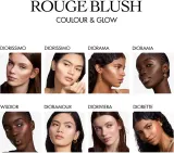 DIOR Rouge Blush Colour & Glow - Палетка многофункциональная, 8 г, оттенок 757 Wildior — фото 5