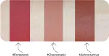 theBalm X Model Roz Voyage - Набор матирующей косметики для губ — фото 2