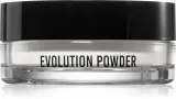 Пудра для лица Danessa Myricks Beauty Evolution Powder фиксирующая матирующая, прозрачная, 11 г, оттенок #1 — фото 1