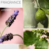 Pureology Hydrate - Увлажняющий шампунь — фото 8
