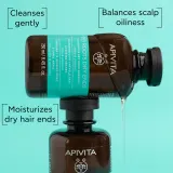 Apivita Oily Roots & Dry Ends Shampoo - Шампунь для жирной кожи головы и сухих кончиков, 250 мл — фото 2