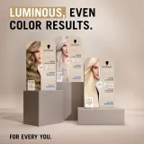 Schwarzkopf Creme Supreme - стойкая краска для волос, 60 мл, оттенок 8-16 Cool Ash Light Blonde — фото 6