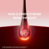 Vichy Dercos Aminexil Clinical 5 - Сыворотка для волос против выпадения для женщин, 21 мл — фото 3