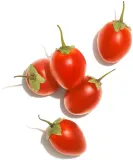 Wella Professionals Invigo Nutri-Enrich - Шампунь для сухих и поврежденных волос — фото 2