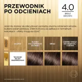Краска для волос L’Oreal Paris Preference Cool Blondes стойкая, для домашнего окрашивания, 1 шт, оттенок 4.0 Tahiti Brown — фото 7