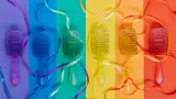 Плоская щётка для волос Olivia Garden iDetangle Pride, для распутывания волос, лимитированная серия, 1 шт — фото 2