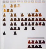 Goldwell Topchic Permanent Hair Color - Краска для волос, 60 мл, оттенок 6K — фото 2