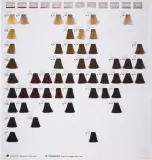 Goldwell Topchic Permanent Hair Color - Краска для волос, 60 мл, оттенок 5 VV MAX 60 мл (GLW01744) — фото 3