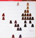 Wella Professionals Color Touch Plus - Краска для волос, 60 мл, оттенок 55/06 — фото 3