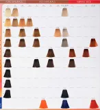 Wella Professionals Color Touch Plus - Краска для волос, 60 мл, оттенок 55/06 — фото 5