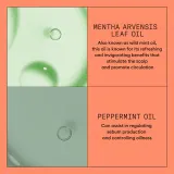 Nioxin System 4 Scalp + Hair Shampoo - Нежный шампунь для окрашенных и поврежденных волос, 300 мл — фото 4