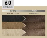 Alfaparf Milano Il Salone Milano Plex Rebuilder - стойкая краска для волос, 1 шт, оттенок 6.0 - Dark Blonde — фото 3