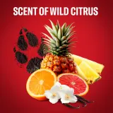 Old Spice Wolfthorn Wolf Gamer - Подарочный набор для мужчин — фото 4