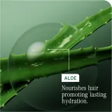 Biolage Essentials HydraSource - Увлажняющий кондиционер для сухих волос, 236 мл — фото 5