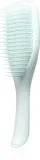 Tangle Teezer The Ultimate Detangler Fine & Fragile - Плоская щетка для ломких волос Ice Blue, 1 шт — фото 1