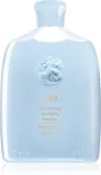 Oribe Brilliance & Shine - Уходовый шампунь для легкого расчесывания волос, 250 мл — фото 1