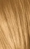 Schwarzkopf Professional IGORA Royal Absolutes - Краска для волос, 60 мл, оттенок 9-50 Extra Light Blonde Gold Natural — фото 2