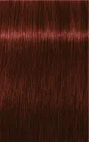 Schwarzkopf Professional IGORA Royal Absolutes - Краска для волос, 60 мл, оттенок 5-80 Light Brown Red Natural — фото 2