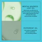 Nioxin System 3 Scalp + Hair Conditioner - Кондиционер для окрашенных и разреженных волос, 300 мл — фото 5