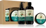 Green Pharmacy Green coffee & Ginger Oil SET - Подарочный набор для лица — фото 1