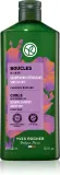 Yves Rocher Boucles - Шампунь для кудрявых и волнистых волос with organic flax, 300 мл — фото 1