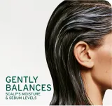 Biolage ScalpSync - Мягкий кондиционер, 236 мл — фото 3
