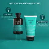 Apivita Oily Hair Oil Balance Shampoo - Глубоко очищающий шампунь для жирной кожи головы для укрепления волос и придания им большего блеска, 250 мл — фото 6