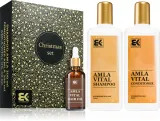 Dtangler Christmas Set Amla - Набор подарочный для женщин, 1 шт — фото 1