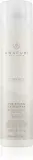 Лак для волос Paul Mitchell Awapuhi Wild Ginger Finishing Hairspray средней фиксации, с блеском, 300 мл — фото 1