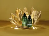 L’Occitane Aromachology - Мягкий кондиционер для всех типов волос, 250 мл — фото 2