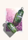 L’Occitane Aromachology - Мягкий кондиционер для всех типов волос, 250 мл — фото 3