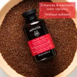Apivita Color Seal Shampoo - Защитный шампунь для окрашенных волос без сульфатов, 250 мл — фото 2