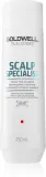 Goldwell Dualsenses Scalp Specialist - Шампунь для тонких волос, 250 мл — фото 1