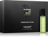 Alfaparf Milano Blends of Many Energizing - Сыворотка для волос: энергетическая сыворотка для сухих и поврежденных волос, 12 мл — фото 1