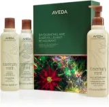 Aveda Holiday Invigorating Awe Rosemary Mint Hair & Body Essentials - Праздничный подарочный набор для волос, 1 шт — фото 1