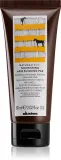 Маска для волос Davines Naturaltech Nourishing питательная, для сухих и повреждённых волос, 60 мл — фото 1