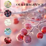 Baylis & Harding Festive Edition Decorative Crackers - Набор подарочный для лица — фото 3