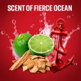 Old Spice Captain - Дезодорант в стике для мужчин — фото 3